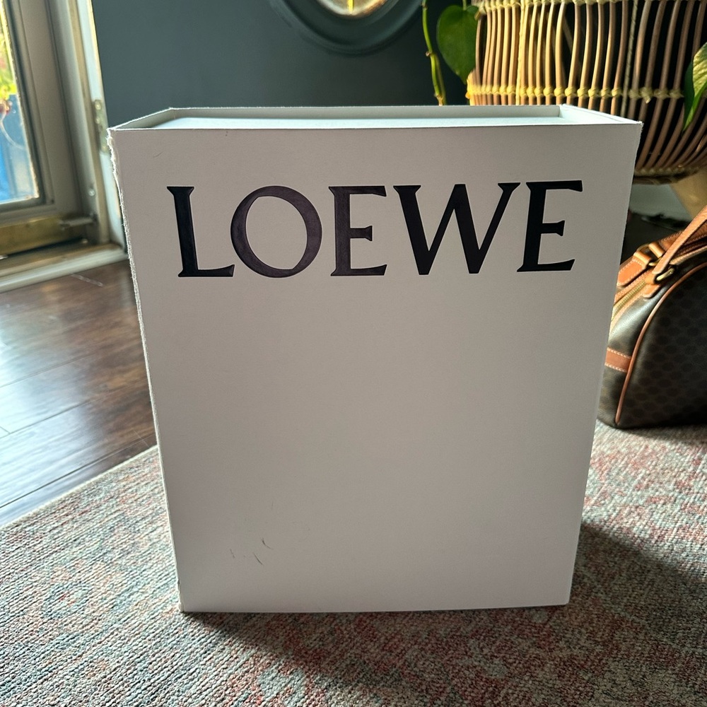 $100 LOEWE BOX Magnetic closure 11.5 w X 13.5 L depth 6in